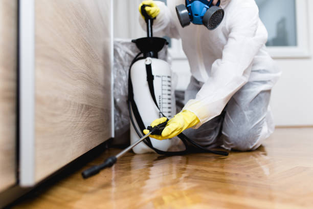 Best Ant Control Services  in Madison, SD