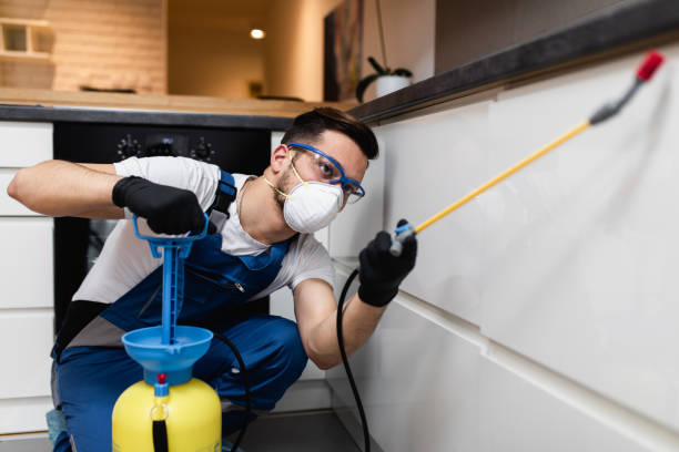 Wasp Removal Services in Madison, SD