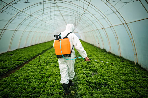 Professional Pest Control in Madison, SD