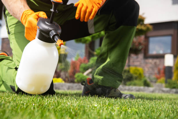 Best Wasp Removal Services  in Madison, SD