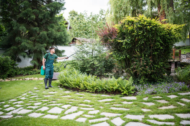 Best Pest Inspection Near Me  in Madison, SD