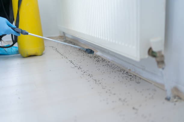 Best Pest Removal Services  in Madison, SD